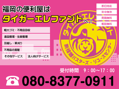 タイガーエレファント北九州