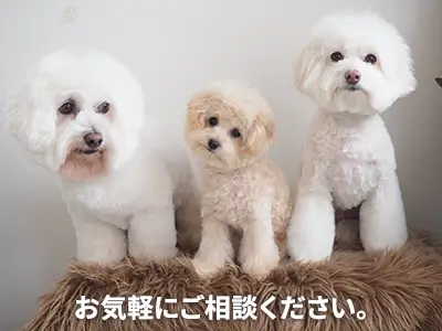 K’s プランニング株式会社